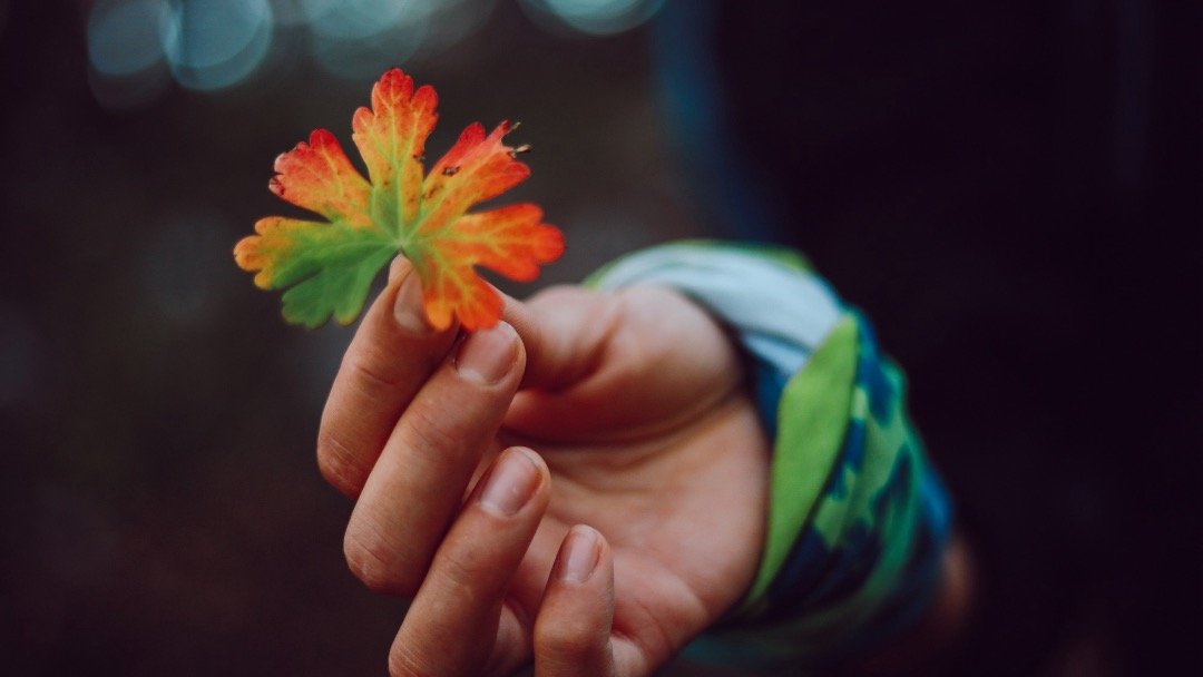 Tren Kebutuhan Pelatihan di Perusahaan Indonesia (2024–2025)